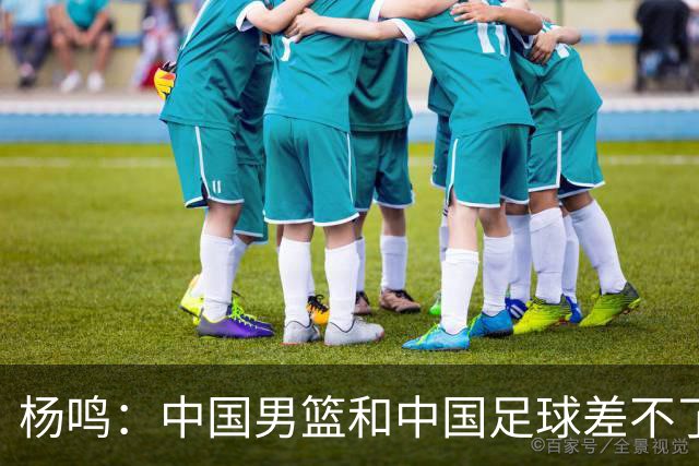 杨鸣：中国男篮和中国足球差不了太多，没有气场，失去了绝对优势